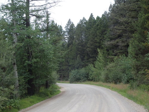 GDMBR: Southbound on Grizzly Gulch Road.